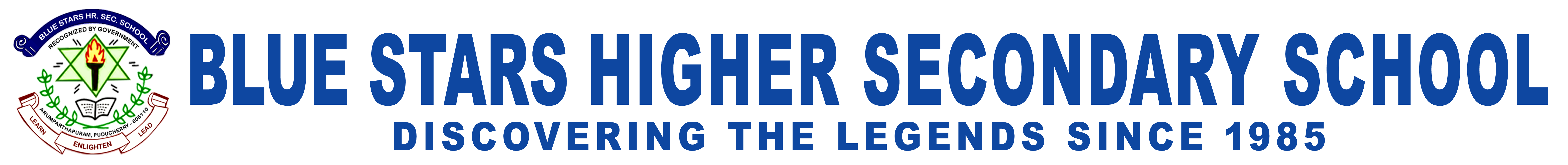 Blue Star School Logo